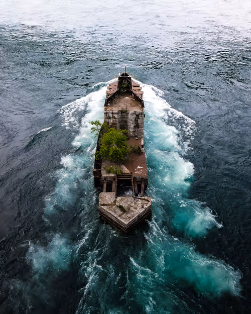 Item #100600280271040798317723628260513137156606623100883316454227272251911570456577 Media