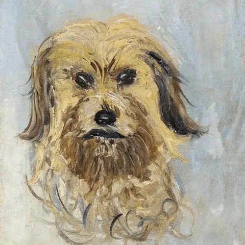 Head of the Dog