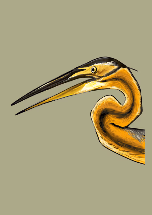 Item #6325281625833605712392792773850100637611508589653324103063037561054250926081 Media