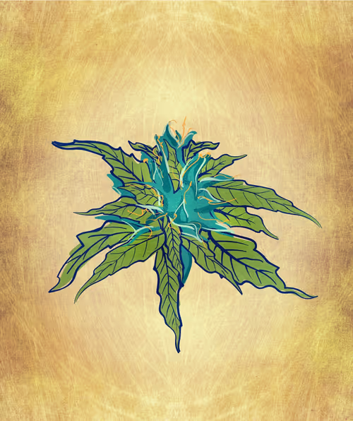 Item #88173920956366532206384104525204378846175092179682069740847406069437236772865 Media