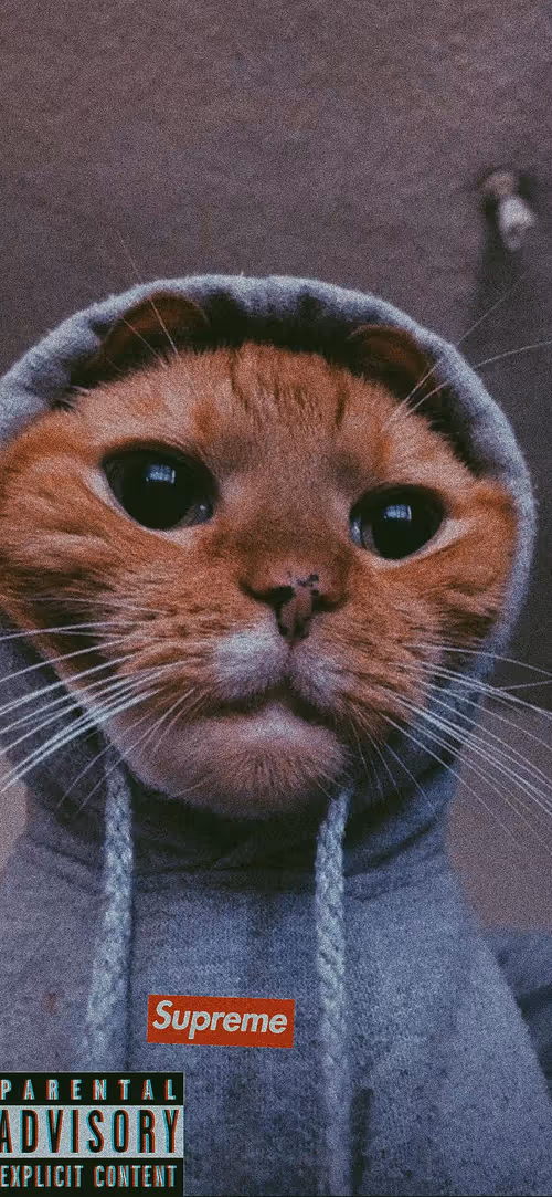 Item #111403828028517140503479066612742365490760199272544585640506794622132919730177 Media