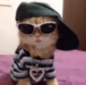 satisfied Collection