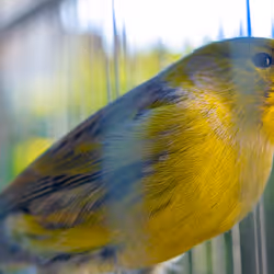 29357035740362283304193054454536633820304787893462387818966021850391346413569