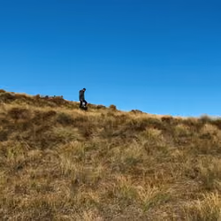 Take it all In - It's Yours 29/30