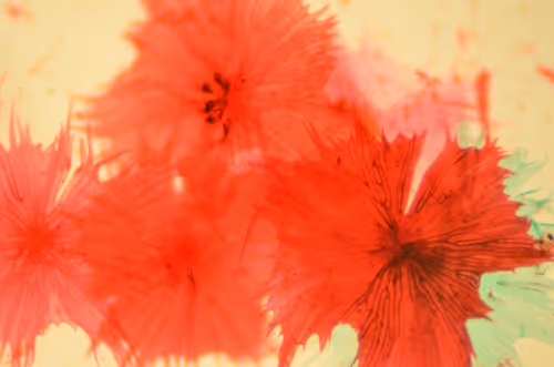 Item #29338470736162432658503928351875651882775793096611779186830202270603909529601 Media