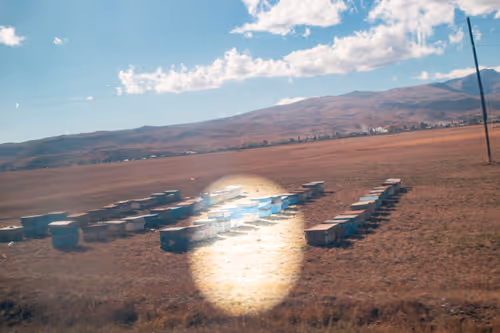 Item #8293050977498067439738640211663030445621008093446820664285481048191574999041 Media