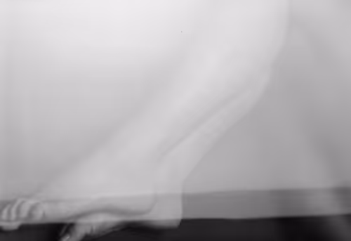 Item #85913522489887983498851657875369250681175468026572885378089047707026251055105 Media