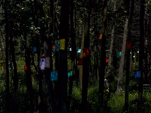 Item #37601873137774233993491309557707736798890237677972915063050964841532112240641 Media