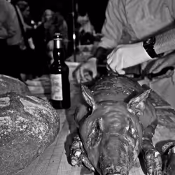 40449787652065743018640773044495240111019622512701765753694832570644255735809