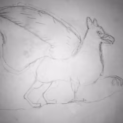 The Griffin