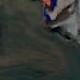 20537471166803336483697920459392139182541277411208615206121837292173622509569