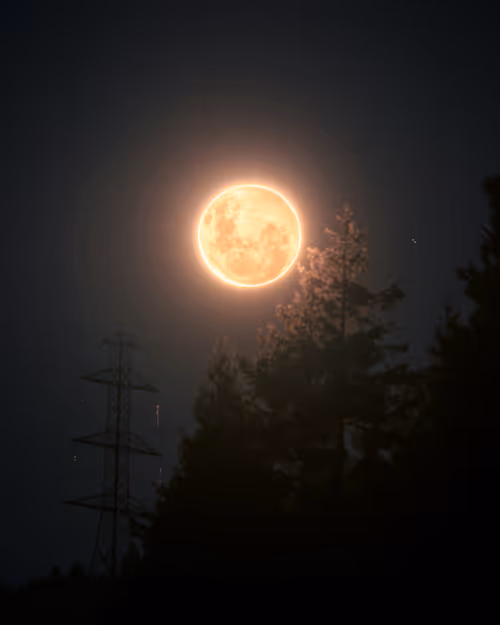 Item #74538995015435840111019835077918857414018361782222478882330568518309395824641 Media