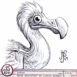 Dodo