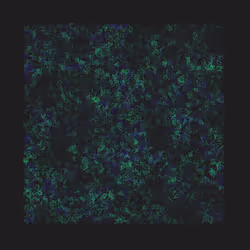 12032733712256437664215437925069129638151898554142308319368358985109356937217