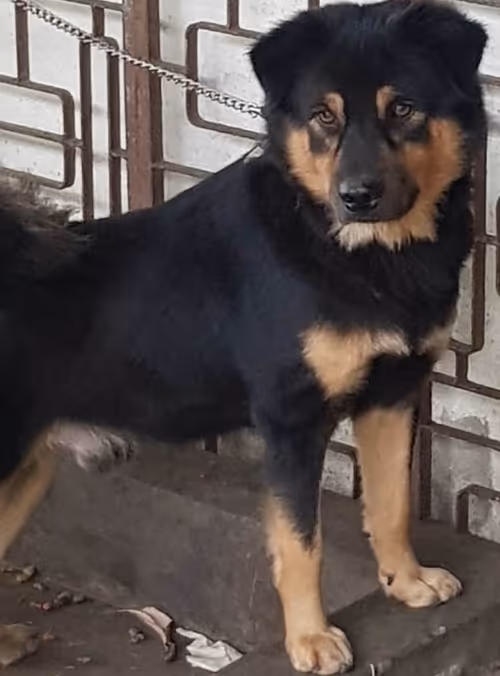 Item #56055091060271351536523847984853154360378800009370414984463609039378960089089 Media