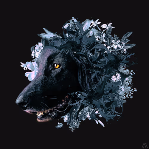 Item #26933090564671490724955718680642040382525628384000115065717975060240192765953 Media