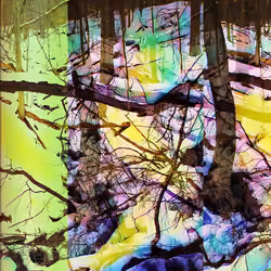 Trippy Tree Series #2