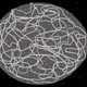 66446762050022660007338815601581929960140640627169971049216910722773645524993