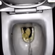 12660136923828748263426703316480839463053827608546839420335324506697481846785