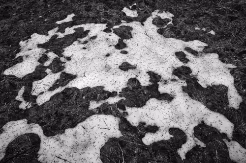 Item #81425468840217938130335513187731669853655760223415782332089084418451677642753 Media