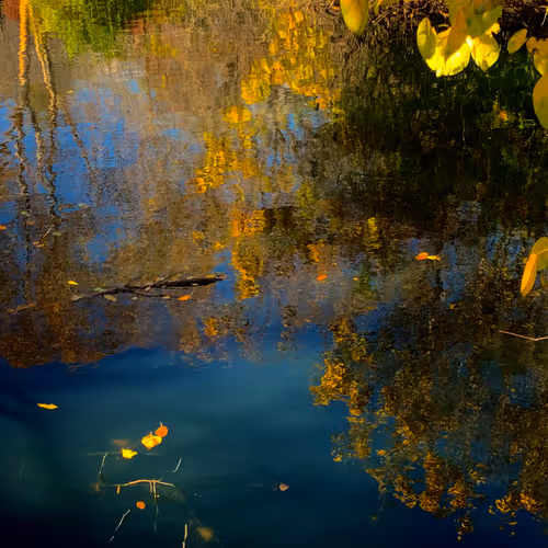 57454491023137916107007493201948815472587961712729591816545853692781004849153