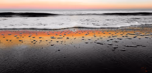 MurphMagic Collection