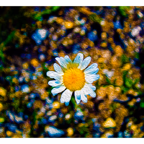 The Daisy