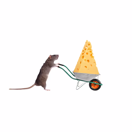 Item #114867966952439841075387029915499308947065709249046462300404940800106971529217 Media