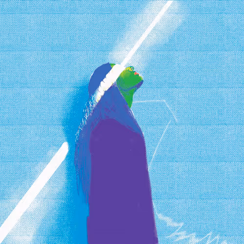 Item #58901363374605366488533273019738672735789139938195676889694349604461326893057 Media