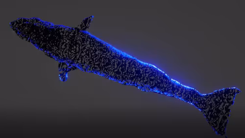 Item #104099004194732186528107260891908231378147874233508203101203207522538187915265 Media