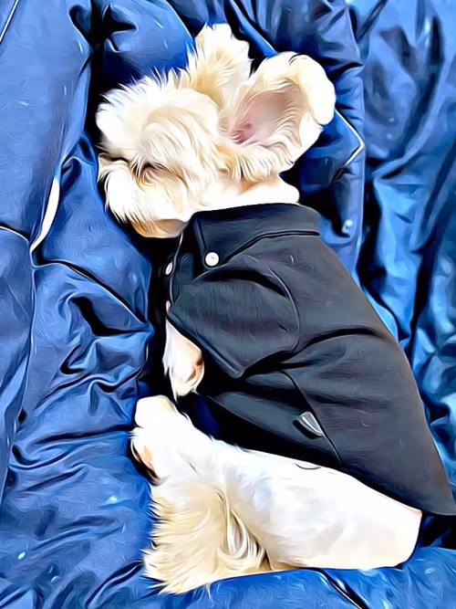 Item #21607923784025543658024067331009769919395041958272689574271021160643807936513 Media