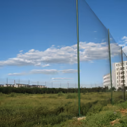 My university-Grassland