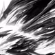 11881678568722038548446551685077798857264208614702118264844643396978605031425