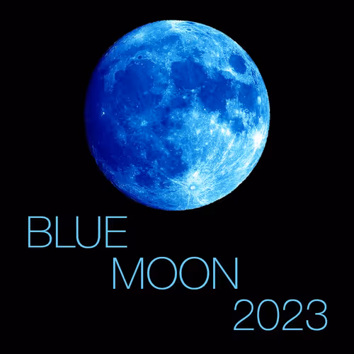 Item #75983401459652839071055131000936583970475439057238305802870367729288522761192 Media