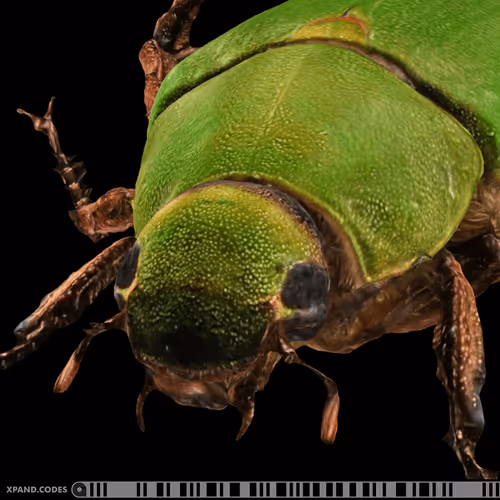 Item #58963443345665771353505984304139328775102797162935968682550101629683655245825 Media