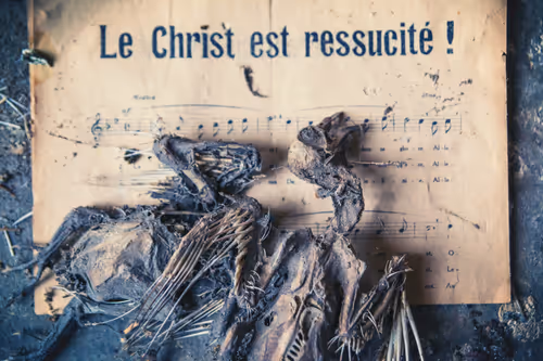 Item #6565810260974012142979447382213260811673901235920150159997466798241328660481 Media