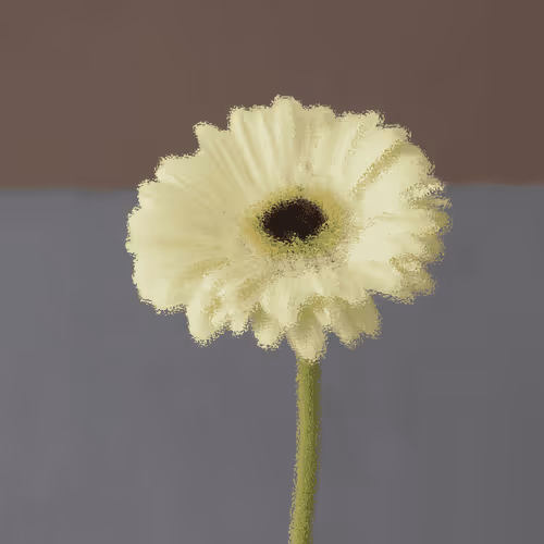 Flower Postcards