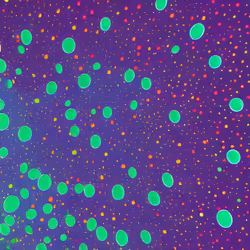 22772742530994404283160777428808967546850895120671873777941367330543505506305