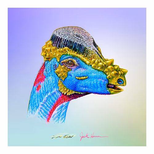 Item #22582927822880265950669941219355019494534003366966592492782895319337245081601 Media