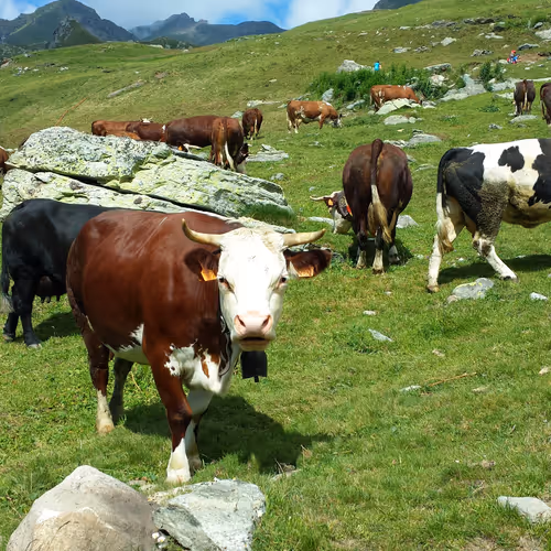 41710495051253728513417233930932535486620982001984973039439061907418558496769