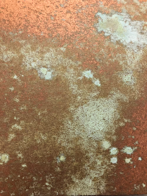 Item #96302607731245519383292552572528694688607081670834096712005176056502804283393 Media