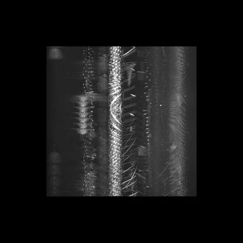 Item #43939955971694368961434358164711021081057237677410347264159754852027429027841 Media