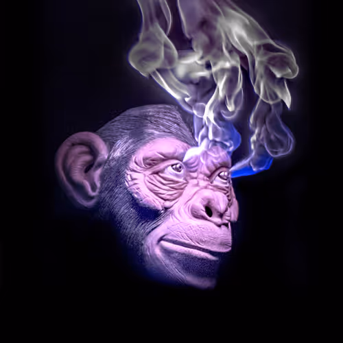 mathieuyoung Collection