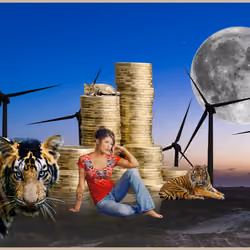 Tiger Moon