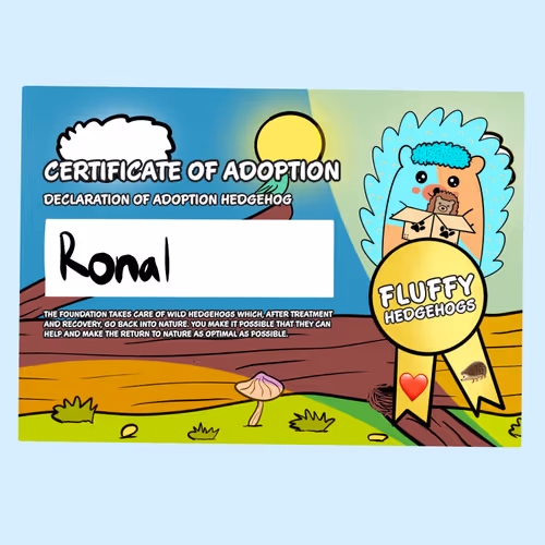 Item #82568299303928421953913761626182899451350454358972335949111842509237639970817 Media