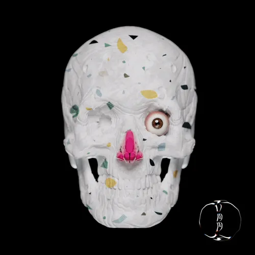 Item #11456114229269844613778559941002896524798927627016767103714784515556361895937 Media