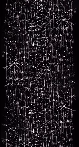 87855534987201374925371944818297600221317149567981150322417554447306302947329