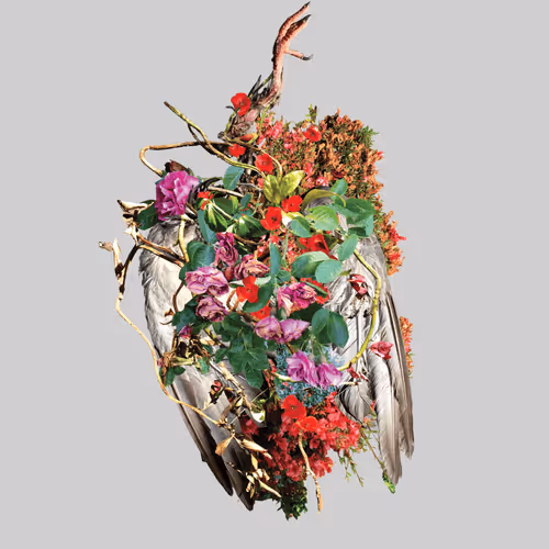 Kate MacDonald | Debris