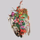 Kate MacDonald | Debris