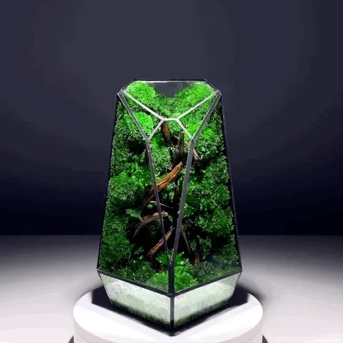 Phygital Terrarium Authentication (PTA)